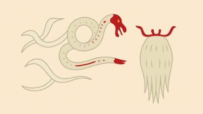 胸虫(むねむし)