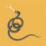25 腎臓のヒゲ虫 じんぞうのひげむし